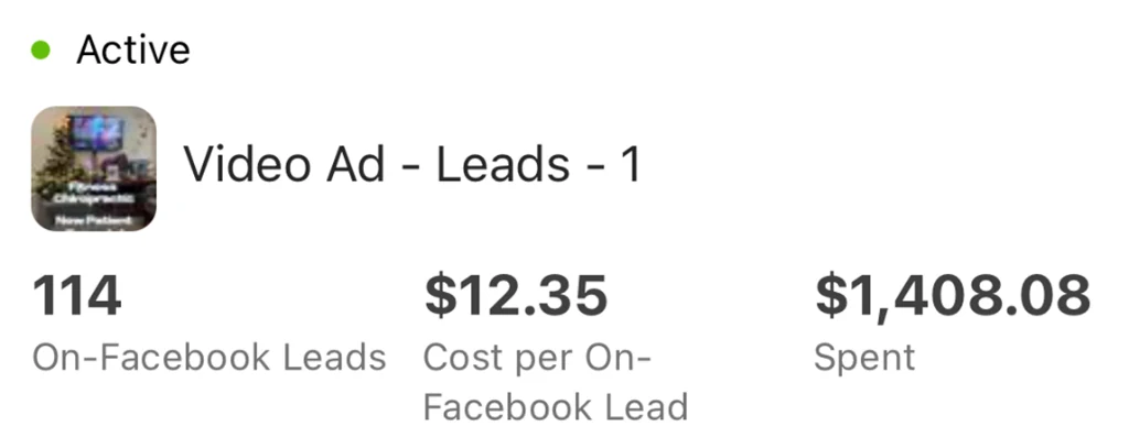 Chiropractic & Wellness — campaign results from Meta Ads Manager